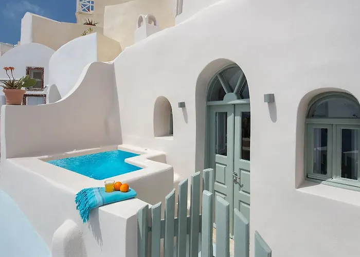 فيلة أرتيا مينشين